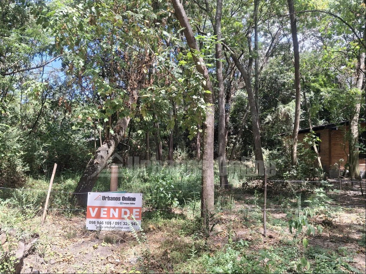 Terreno en El Ensueño, propiedad 272803 -Imagen 1