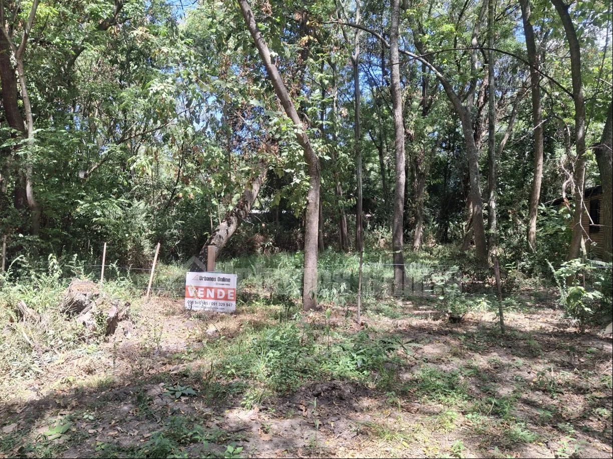 Terreno en El Ensueño, propiedad 272803 -Imagen 2