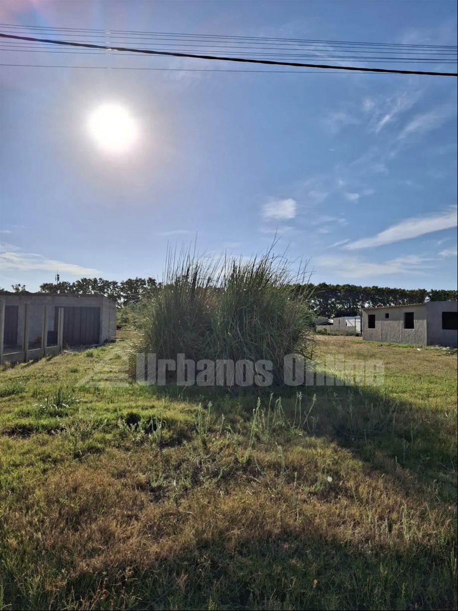 Terreno en Colonia del Sacramento, propiedad 272804 -Imagen 4