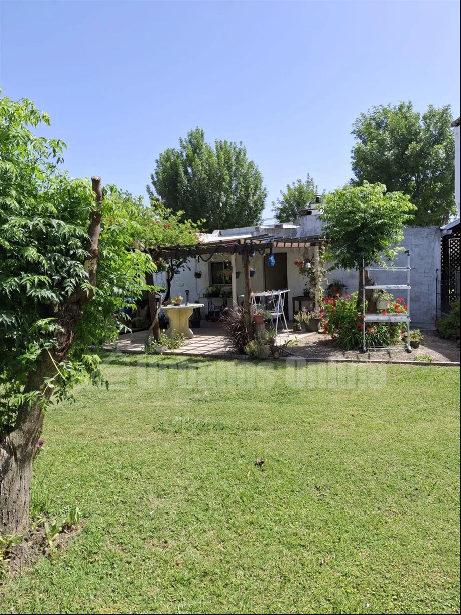 Casa en Tarariras, propiedad 272807 -Imagen 5