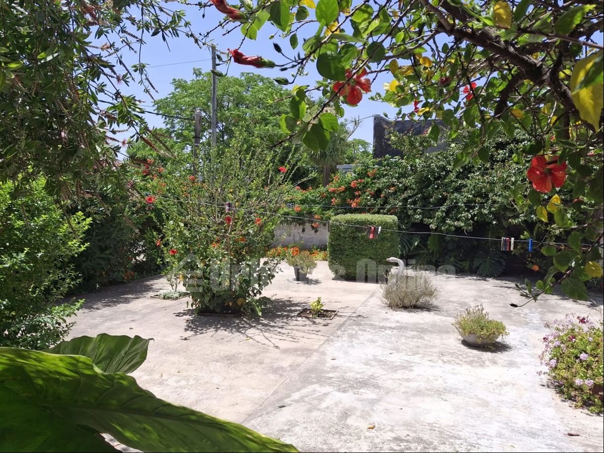 Casa en Tarariras, propiedad 272811 -Imagen 6