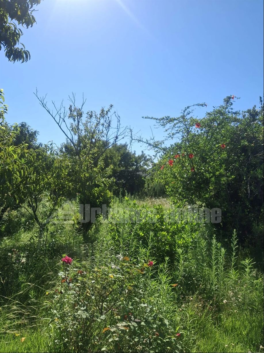 Casa en Tarariras, propiedad 272817 -Imagen 2