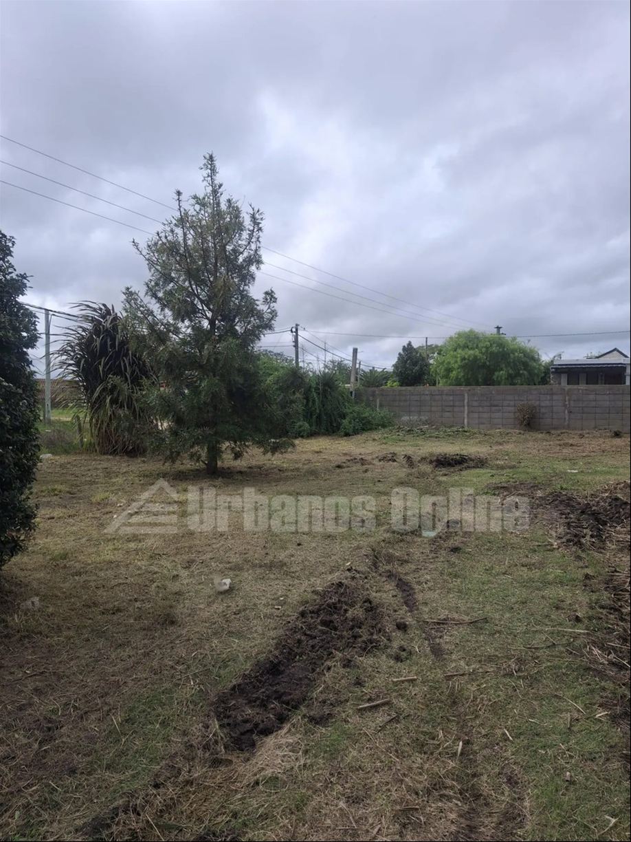 Casa en Tarariras, propiedad 272819 -Imagen 3