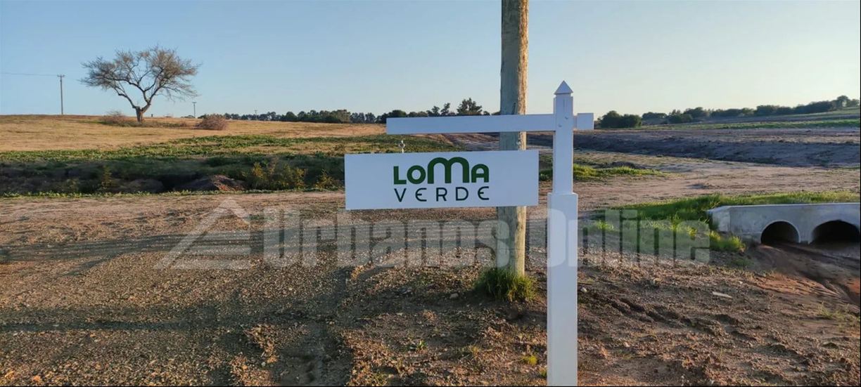 Terreno en Nueva Helvecia, propiedad 272820 -Imagen 2
