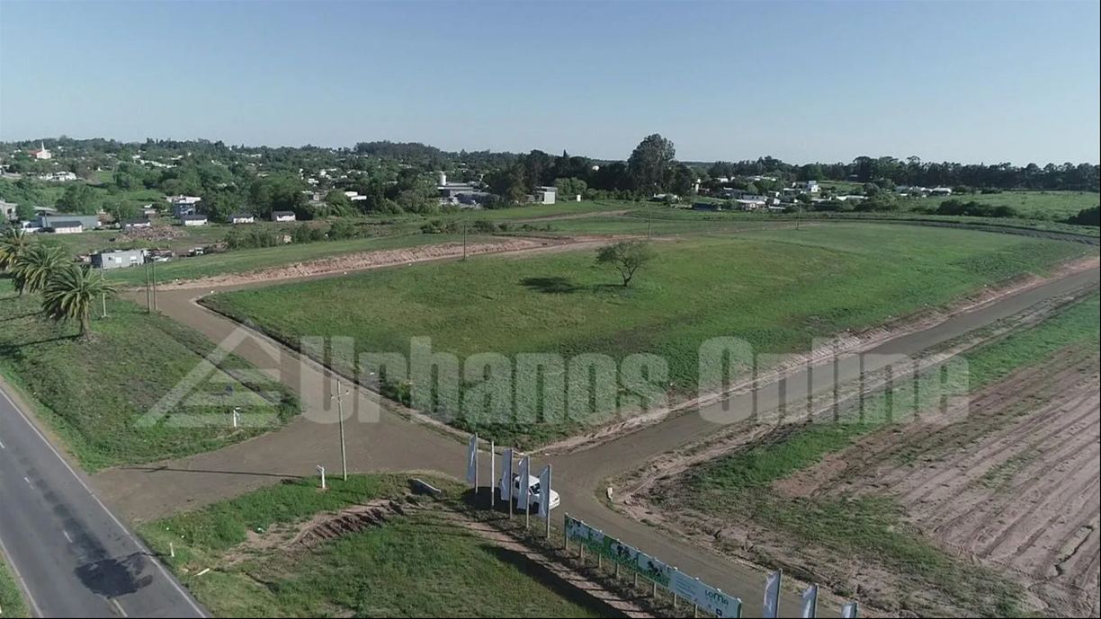 Terreno en Nueva Helvecia, propiedad 272820 -Imagen 3