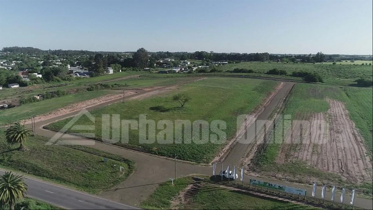 Terreno en Nueva Helvecia, propiedad 272820 -Imagen 10