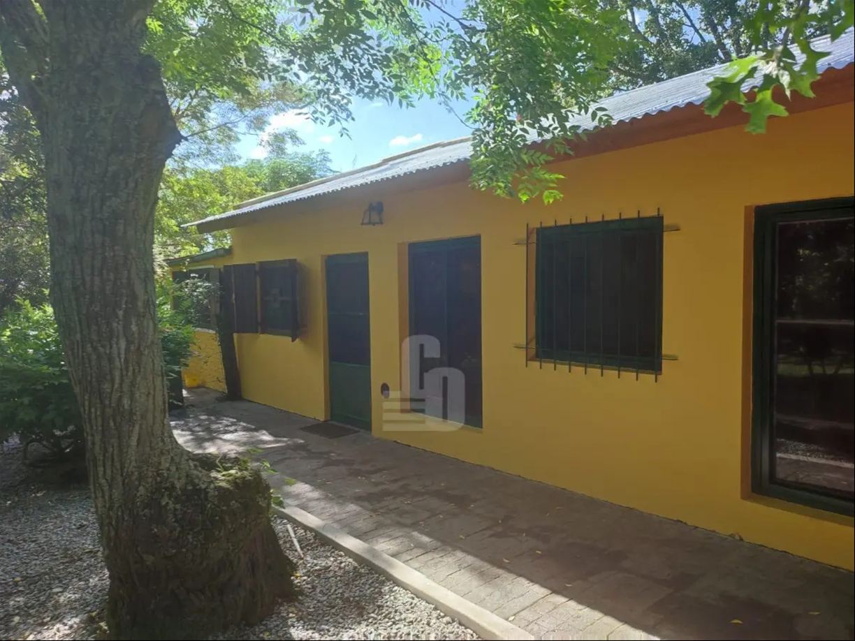 Chacra en Nueva Helvecia, propiedad 272824 -Imagen 5