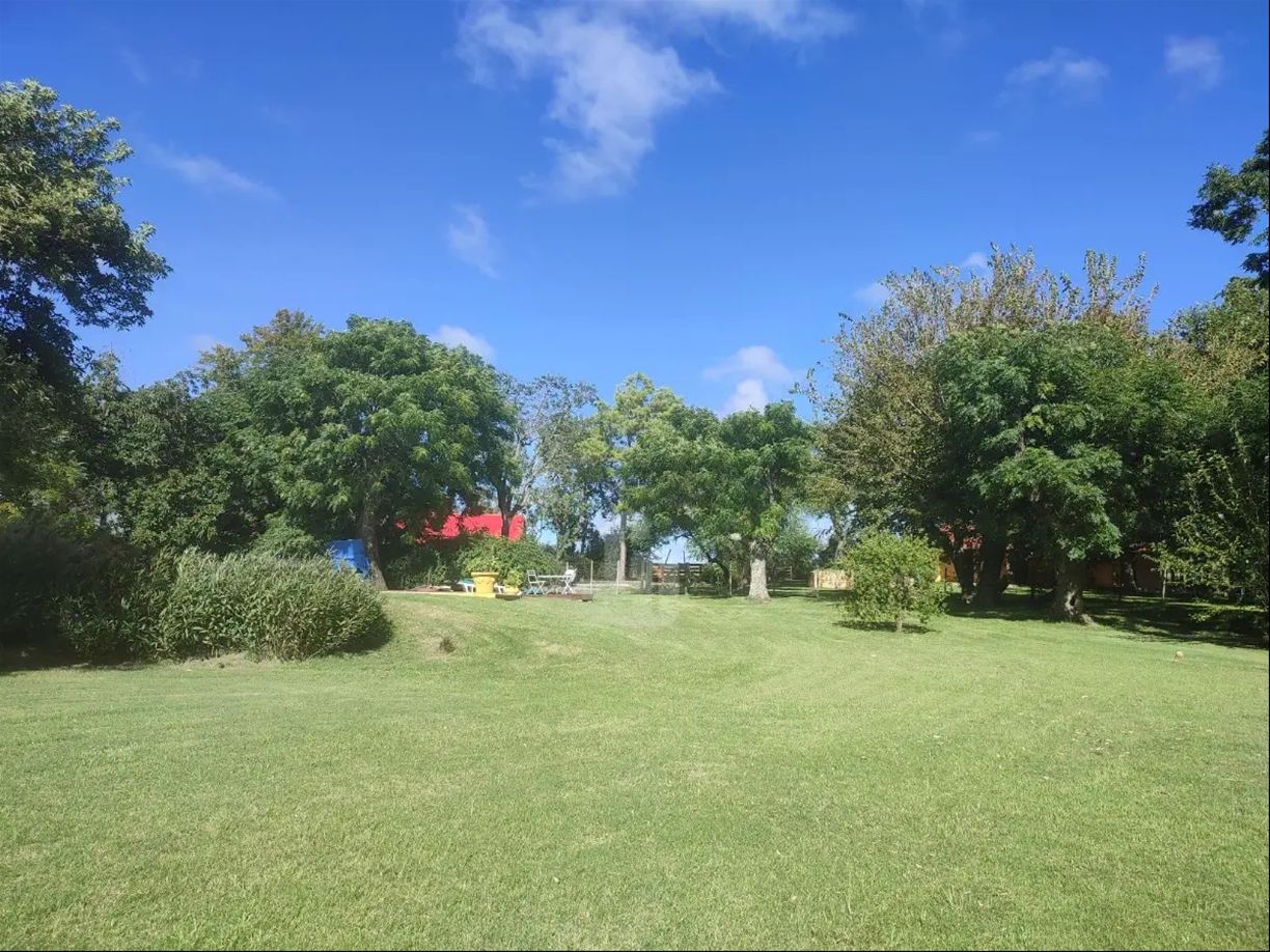 Chacra en Nueva Helvecia, propiedad 272824 -Imagen 6