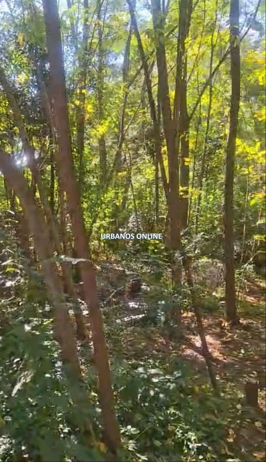 Terreno en El Ensueño, propiedad 274971 -Imagen 1