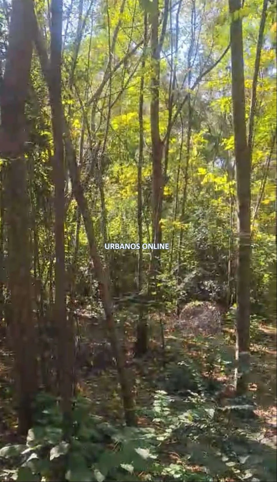 Terreno en El Ensueño, propiedad 274971 -Imagen 2