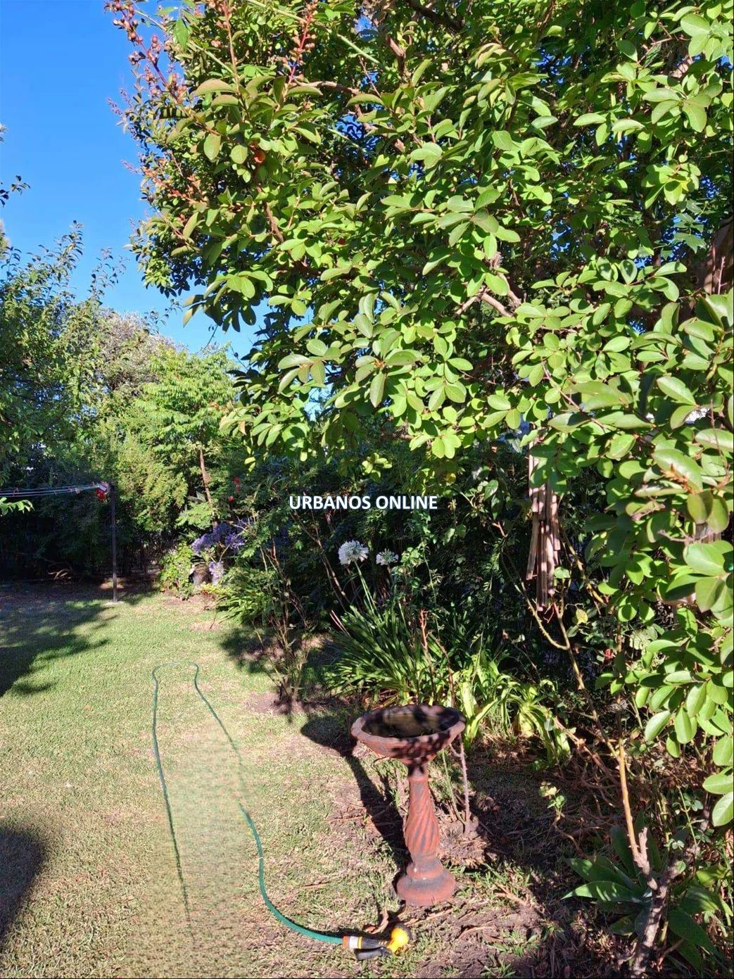 Casa en Colonia del Sacramento, propiedad 274980 -Imagen 8