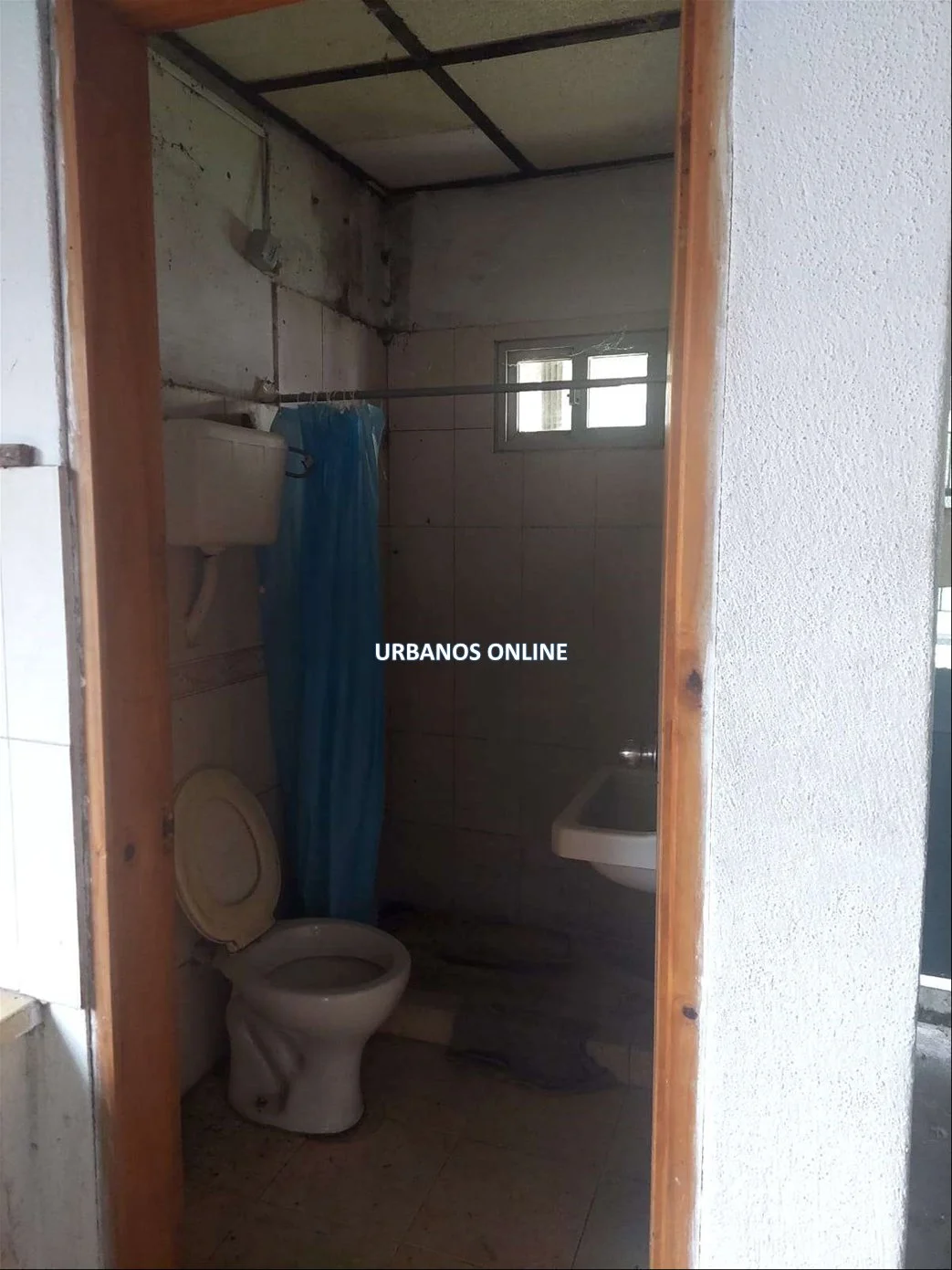 Local en Tarariras, propiedad 301379 -Imagen 4