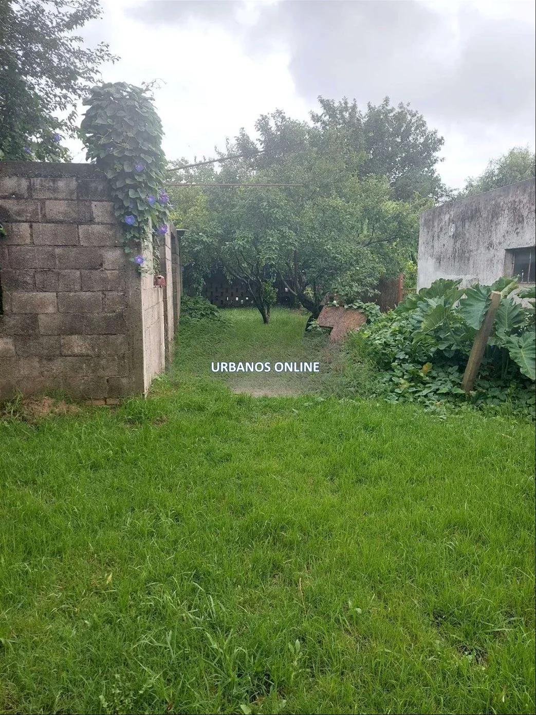 Local en Tarariras, propiedad 301379 -Imagen 5