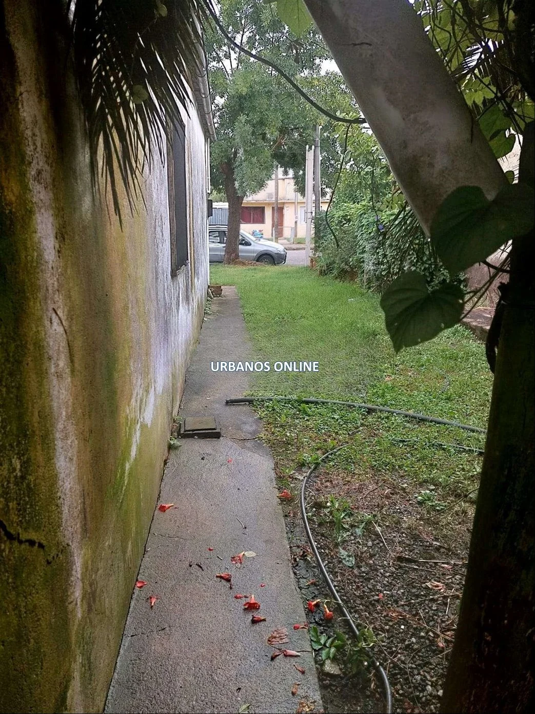 Local en Tarariras, propiedad 301379 -Imagen 6
