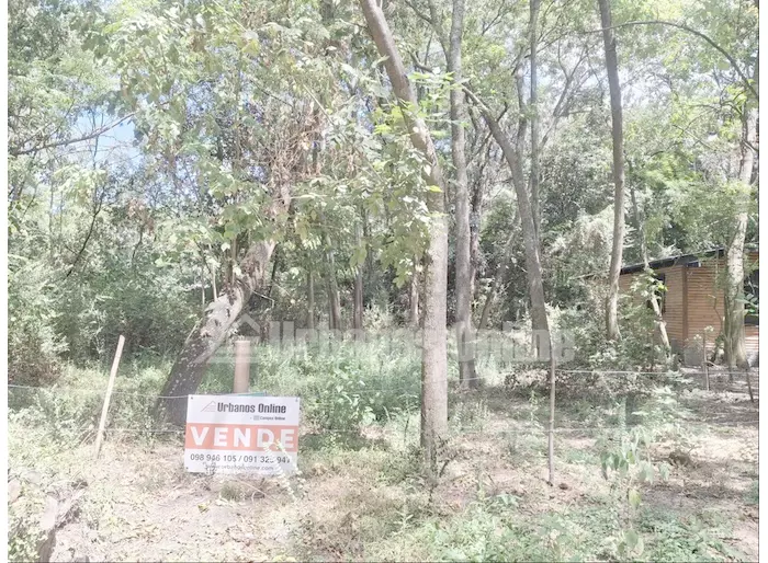 imagen  de la propiedad 272803