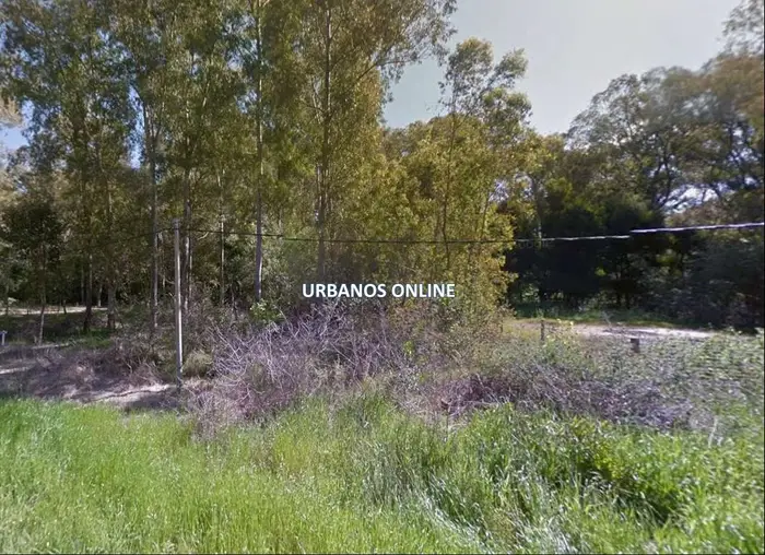 imagen  de la propiedad 274916