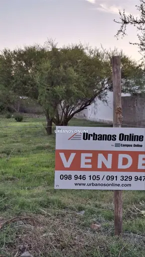 imagen  de la propiedad 274968