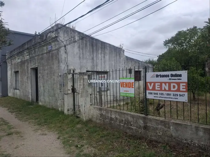 imagen  de la propiedad 282911