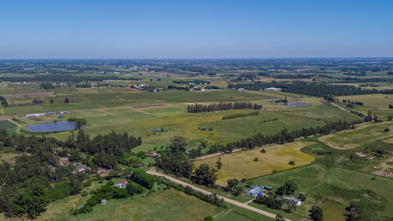 Chacra en Joaquín Suárez, propiedad 273688 -Imagen 6
