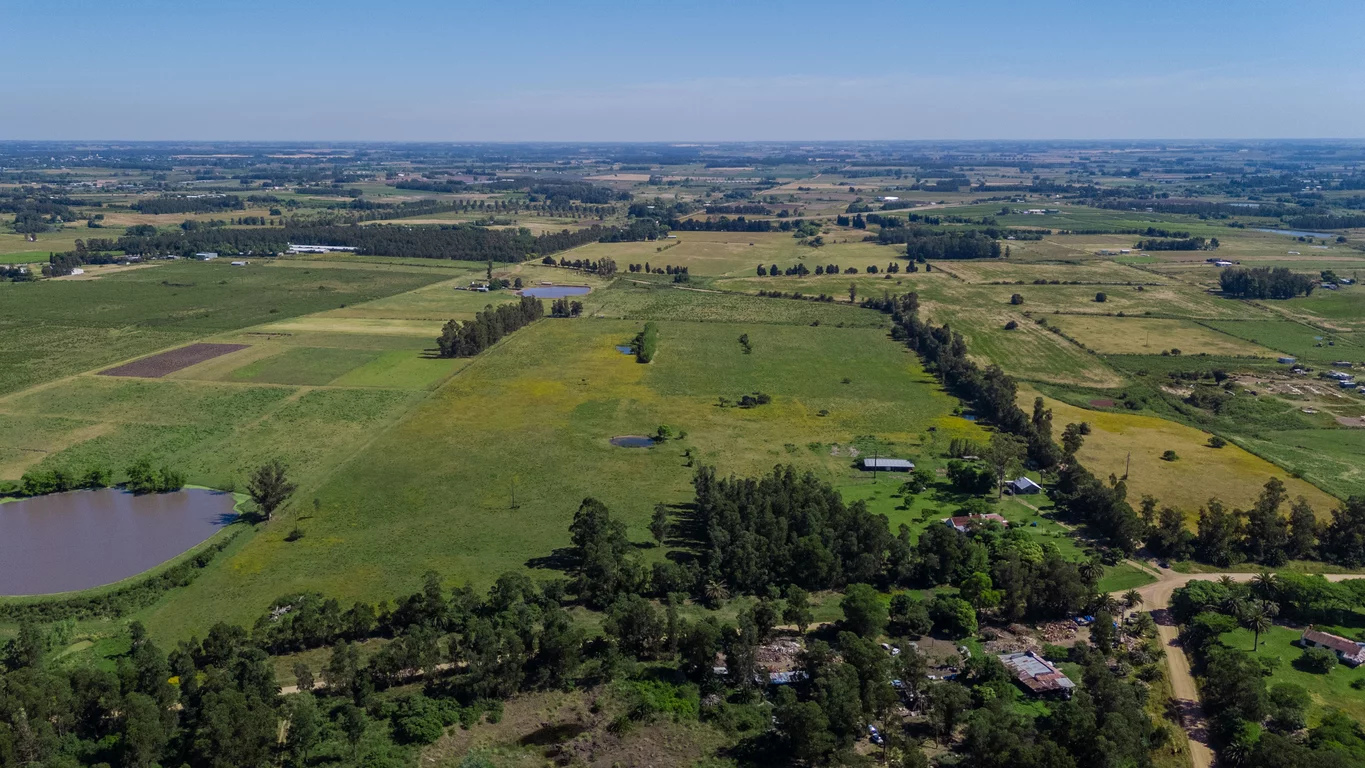Chacra en Joaquín Suárez, propiedad 273688 -Imagen 10