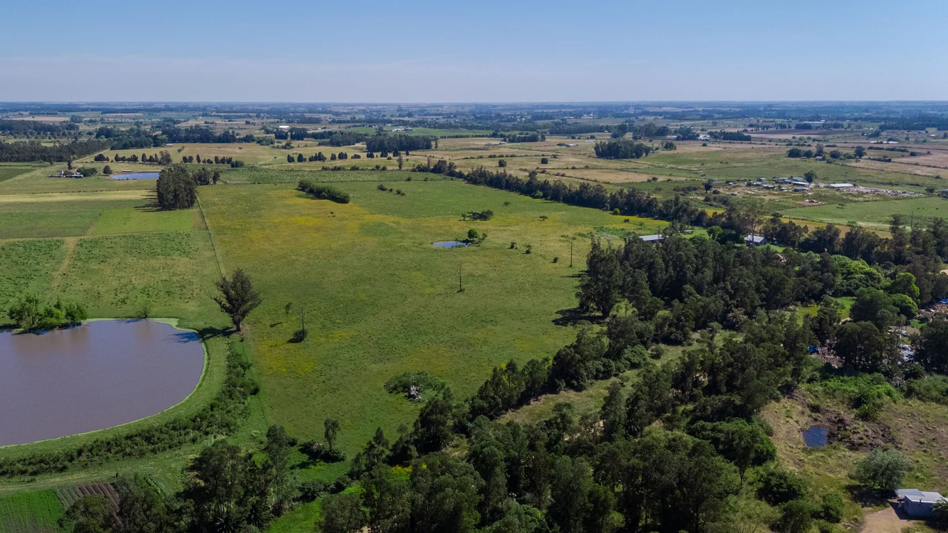 Chacra en Joaquín Suárez, propiedad 273688 -Imagen 12