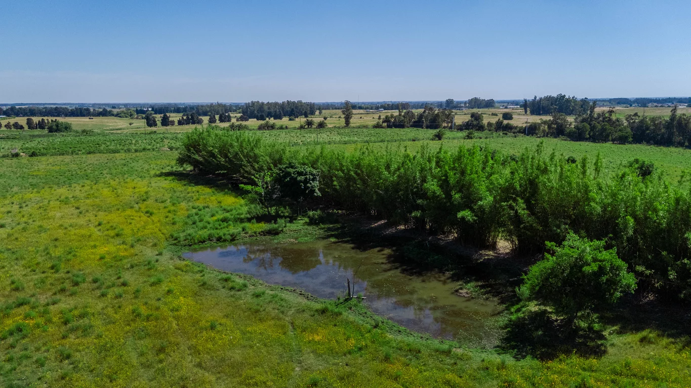 Chacra en Joaquín Suárez, propiedad 273688 -Imagen 21