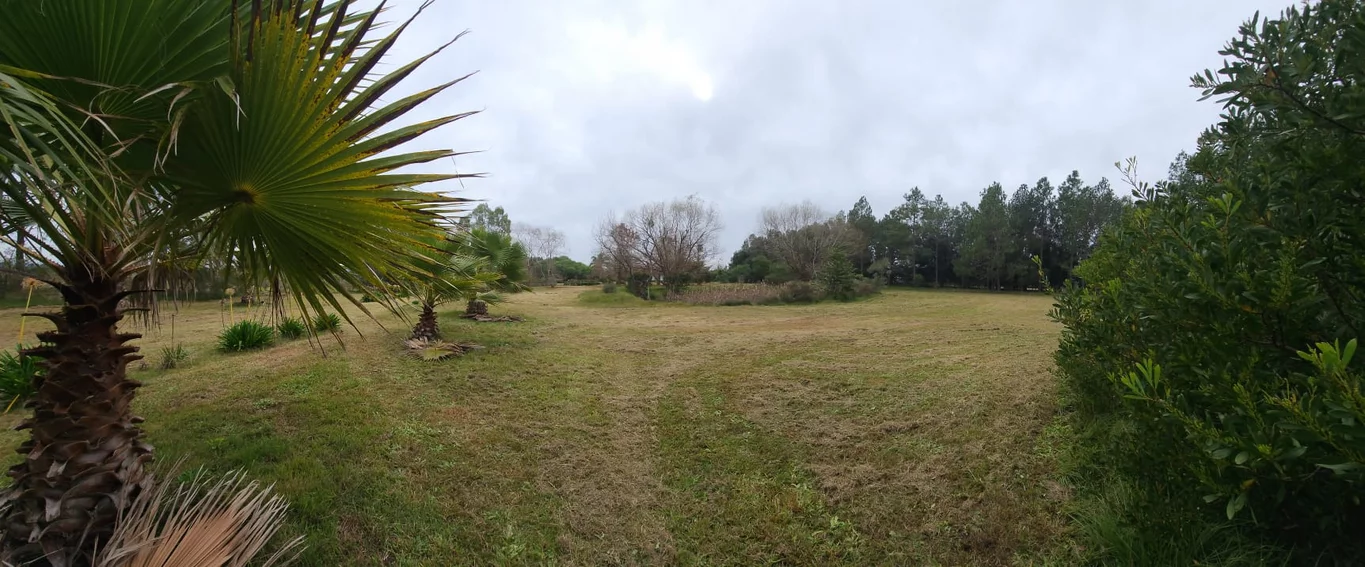 Chacra en San Carlos, propiedad 274992 -Imagen 5