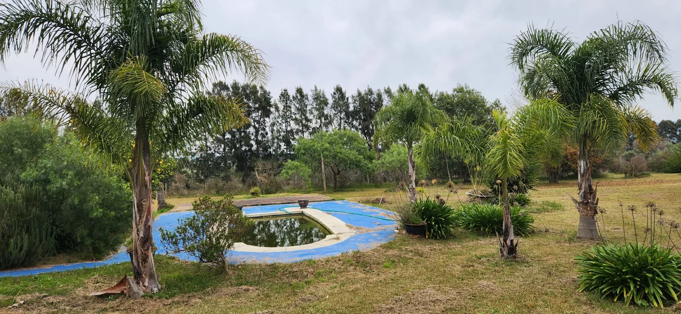 Chacra en San Carlos, propiedad 274992 -Imagen 13