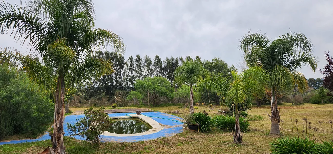 Chacra en San Carlos, propiedad 274992 -Imagen 16