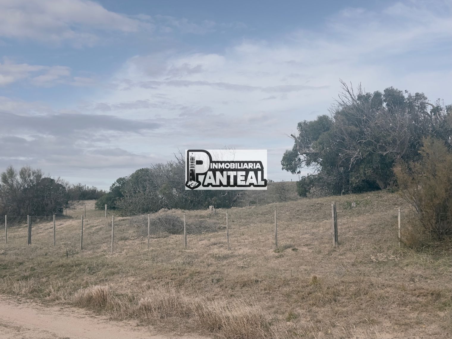 Terreno en La Paloma, propiedad 273775 -Imagen 4