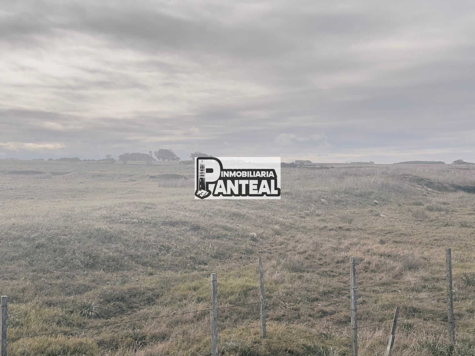 Terreno en La Paloma, propiedad 273775 -Imagen 15