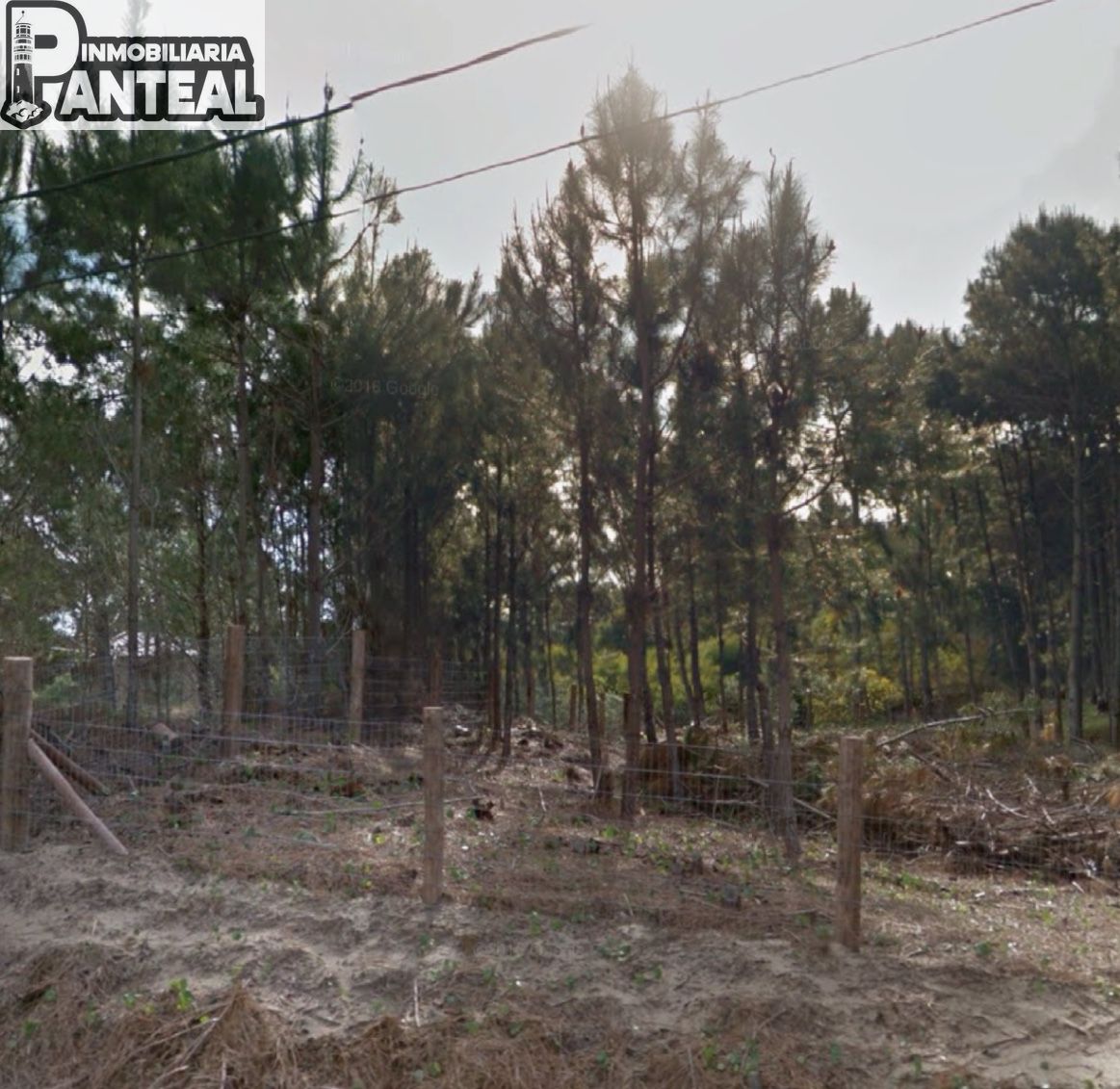 Terreno en Rocha, propiedad 273790 -Imagen 2