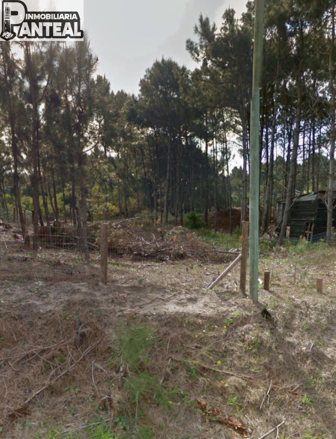 Terreno en Rocha, propiedad 273790 -Imagen 1