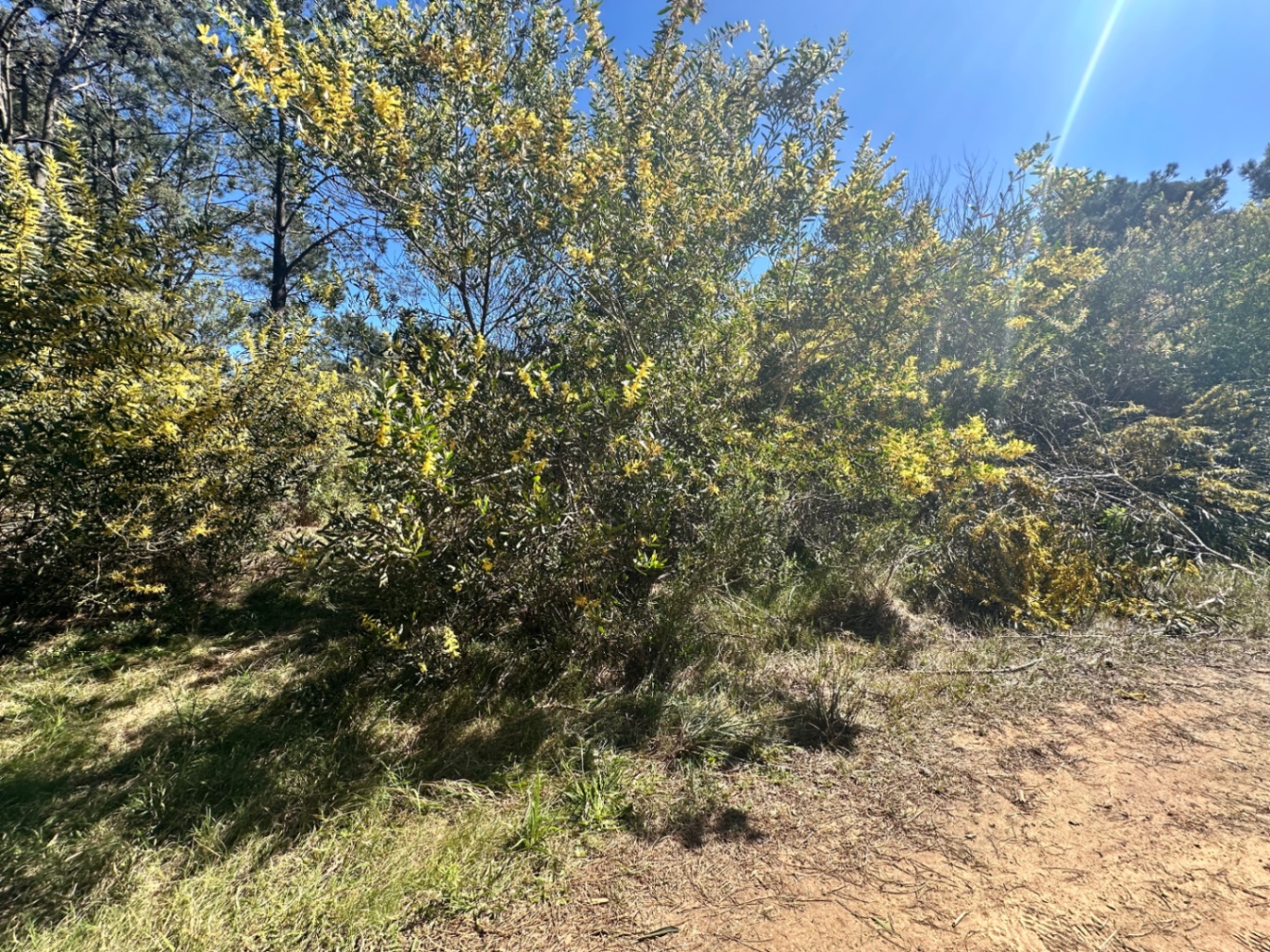 Terreno en La Paloma, propiedad 273977 -Imagen 1