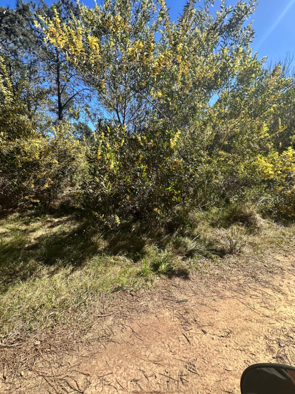 Terreno en La Paloma, propiedad 273977 -Imagen 2