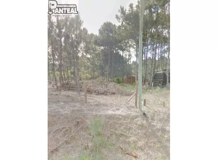imagen  de la propiedad 273790