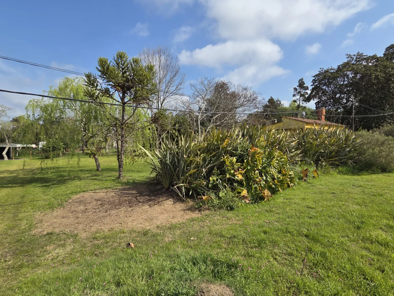 Terreno en Santa Lucía del Este, propiedad 299132 -Imagen 8