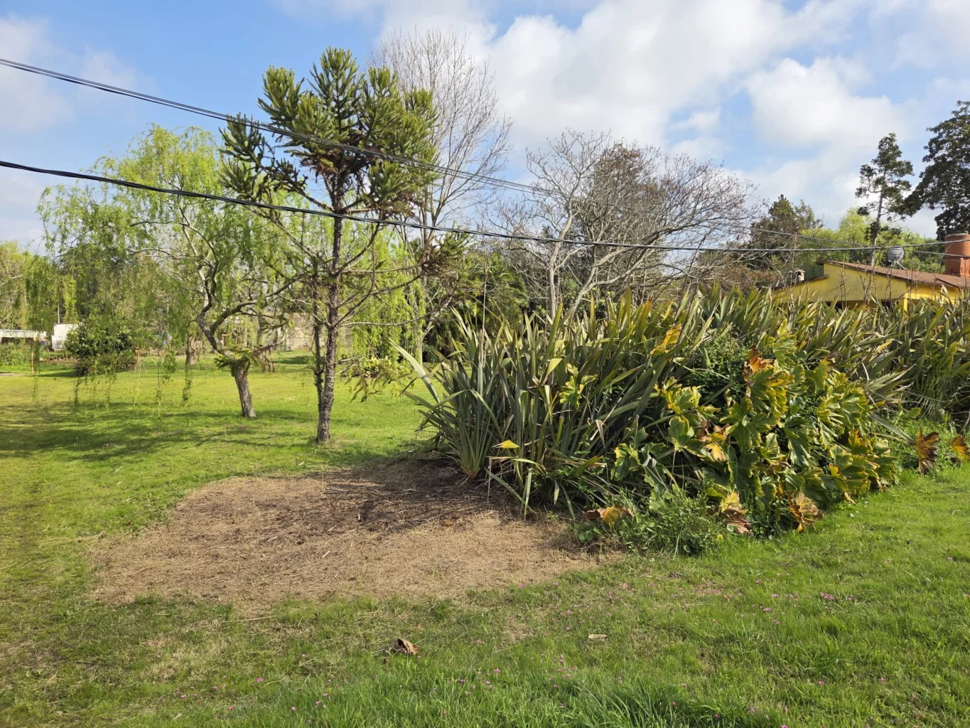 Terreno en Santa Lucía del Este, propiedad 299132 -Imagen 3