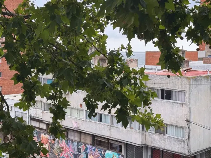 imagen  de la propiedad 289205
