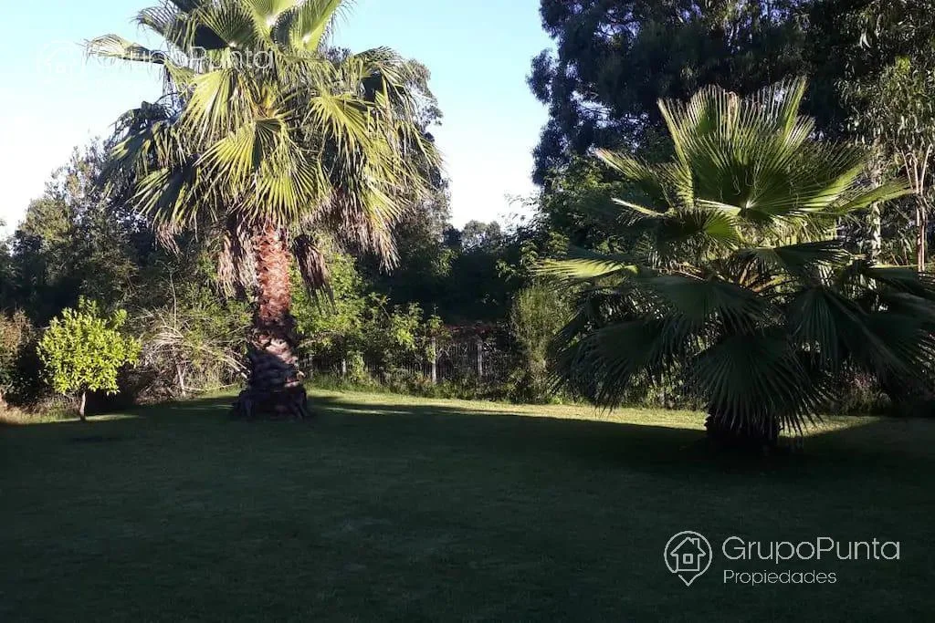 Casa en Punta Ballena, propiedad 280464 -Imagen 19