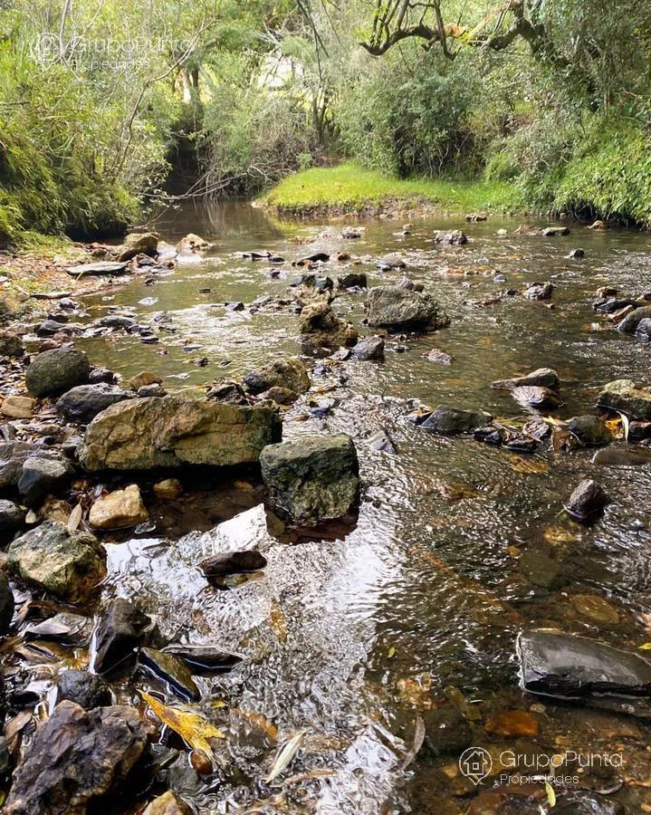Chacra en Minas, propiedad 280584 -Imagen 1