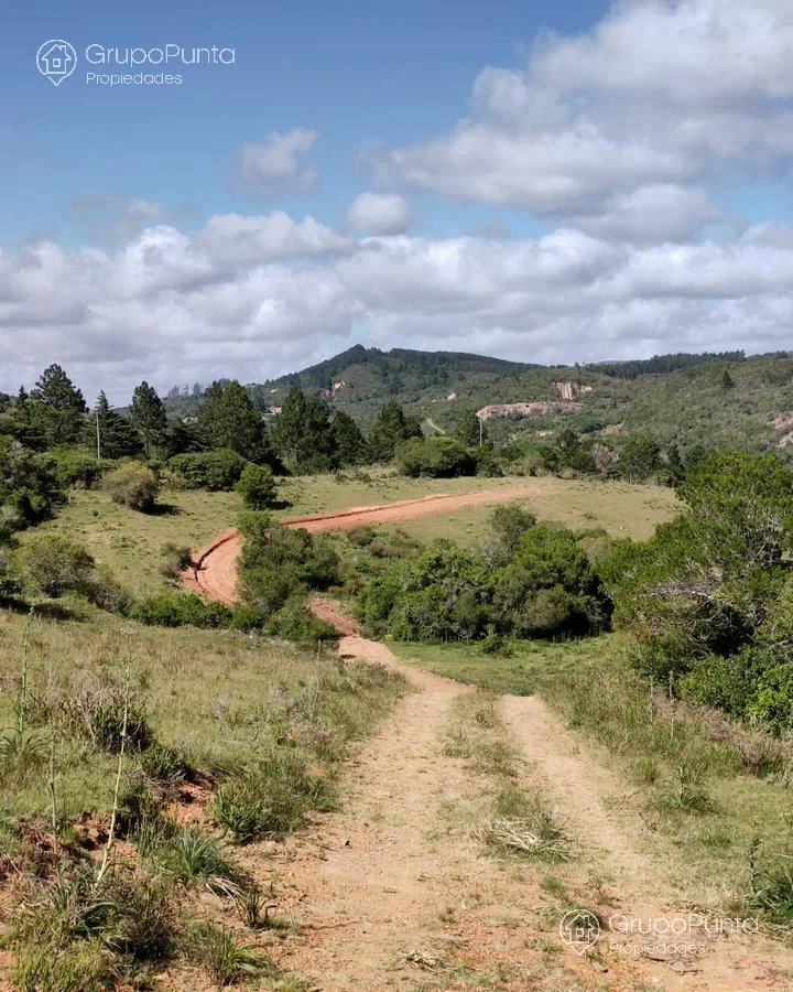 Chacra en Minas, propiedad 280584 -Imagen 12