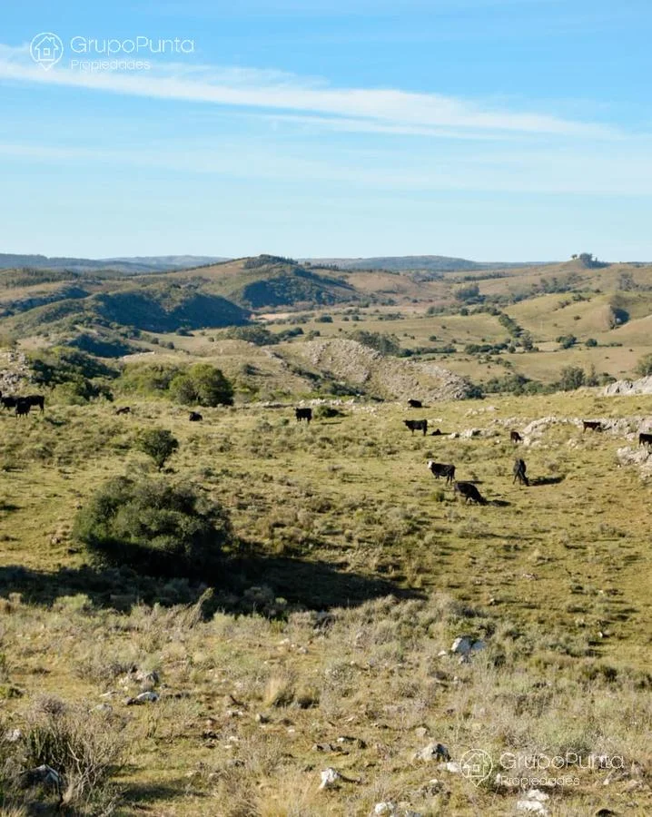 Chacra en Minas, propiedad 280584 -Imagen 14