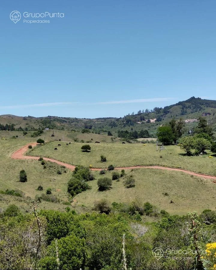 Chacra en Minas, propiedad 280584 -Imagen 8