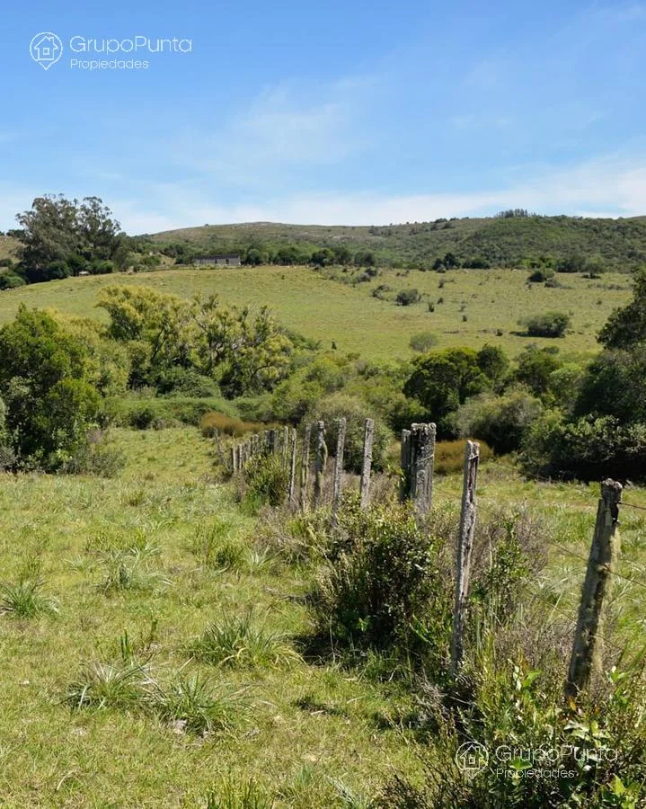 Chacra en Minas, propiedad 280584 -Imagen 9