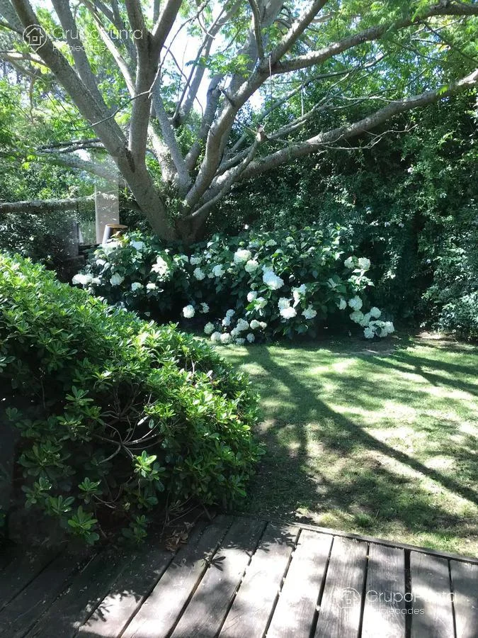 Casa en Punta Ballena, propiedad 280718 -Imagen 19