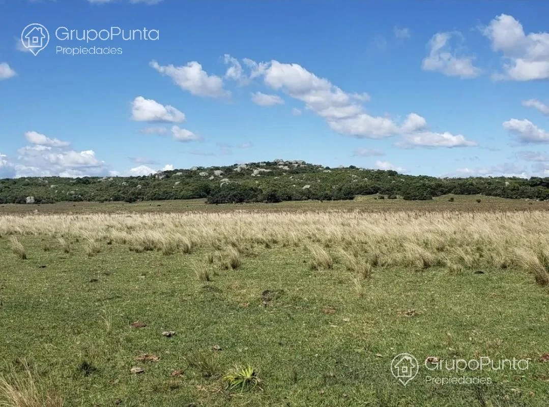 Campo en Mal Abrigo, propiedad 281166 -Imagen 1