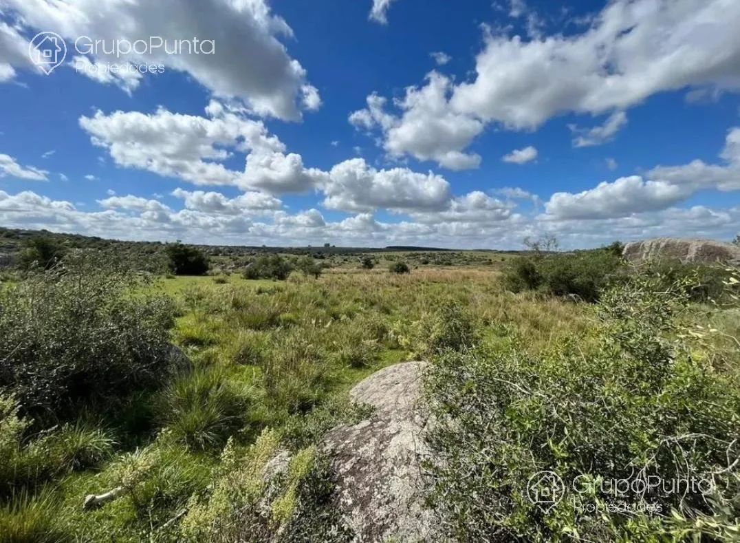 Campo en Mal Abrigo, propiedad 281166 -Imagen 2