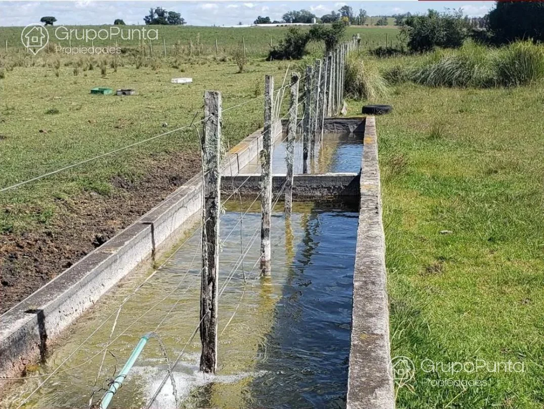 Campo en Mal Abrigo, propiedad 281166 -Imagen 11