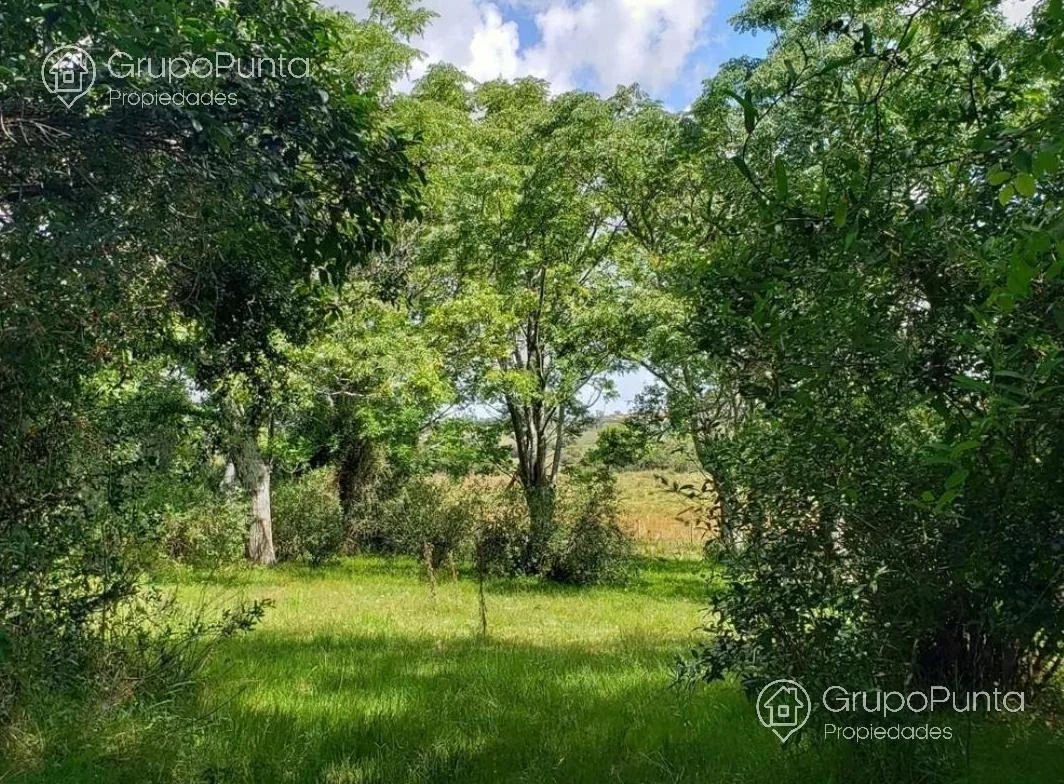 Campo en Mal Abrigo, propiedad 281166 -Imagen 12